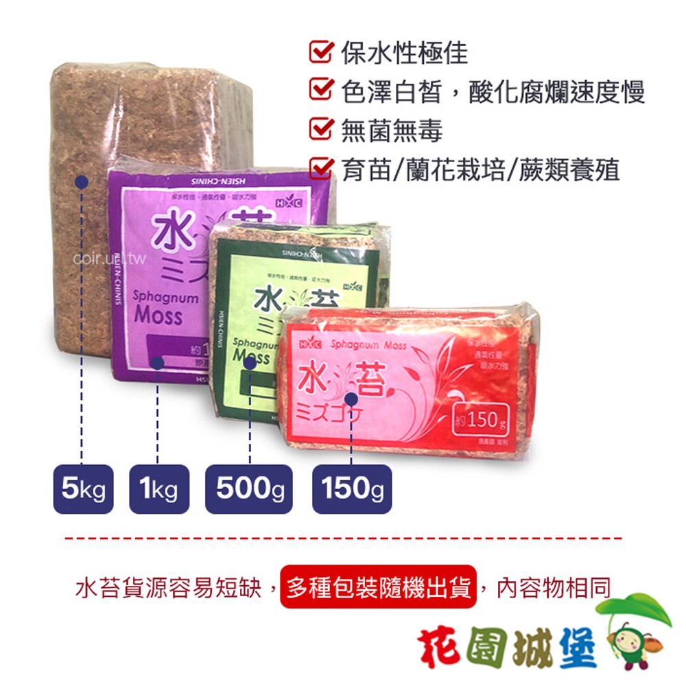 花園城堡 智利水苔
