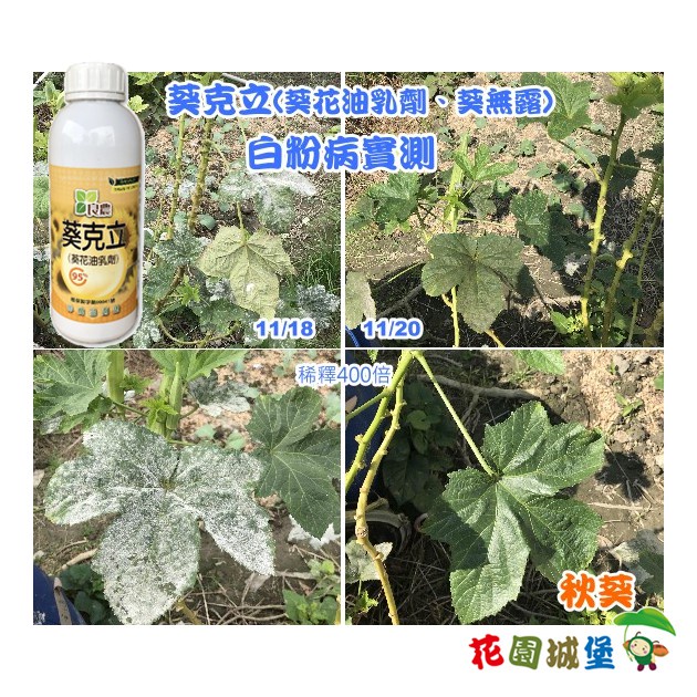 花園城堡 葵無露 1L
