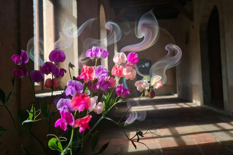 攀藤蔓性植物的垂直運用 - 補充圖片