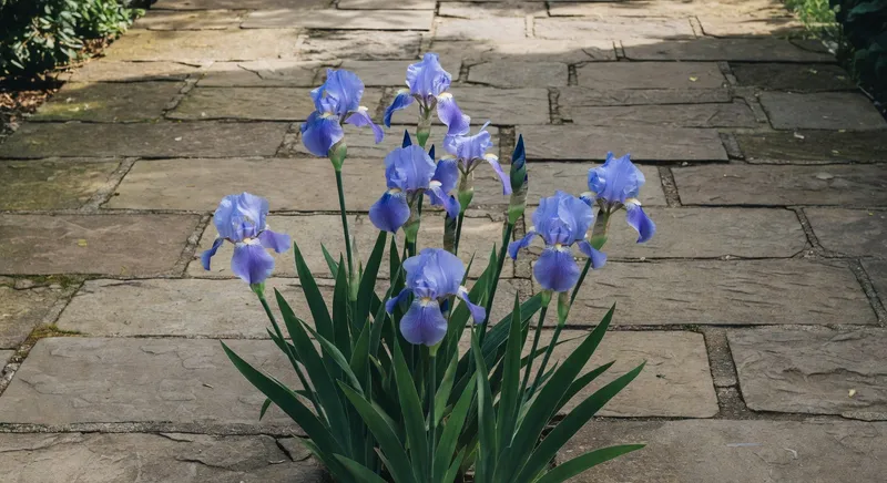 水元素與花園的和諧搭配 - 補充圖片