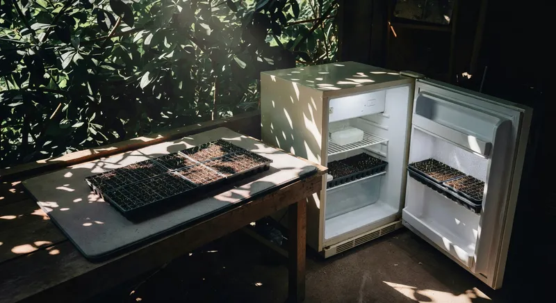 不同植物的播種溫度管理 - 補充圖片