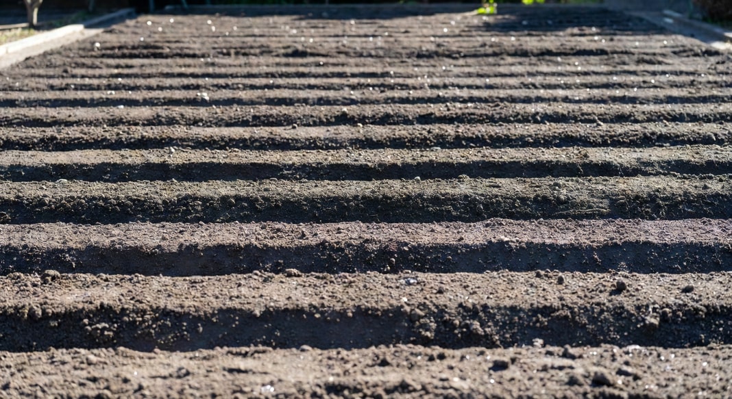 翻土後的花壇土壤鬆軟飽滿，整齊排列，準備播種或種植。