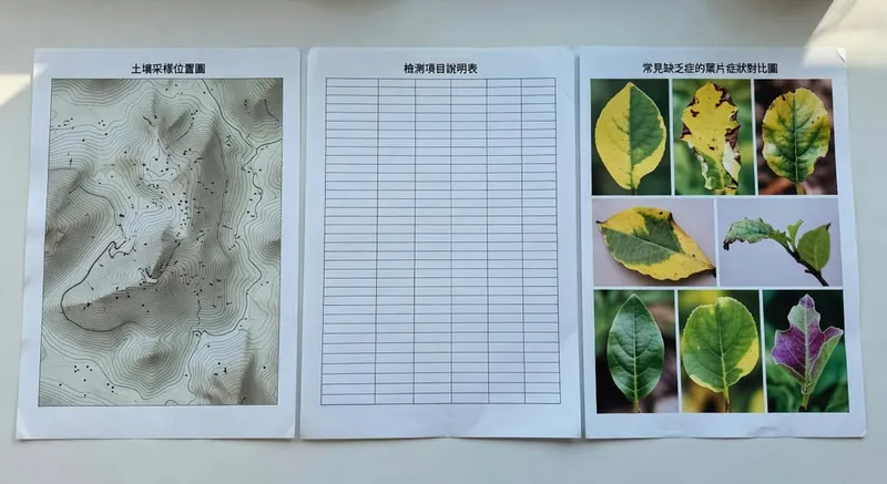 展示土壤採樣位置圖、檢測項目說明表及常見缺乏症葉片症狀對比圖