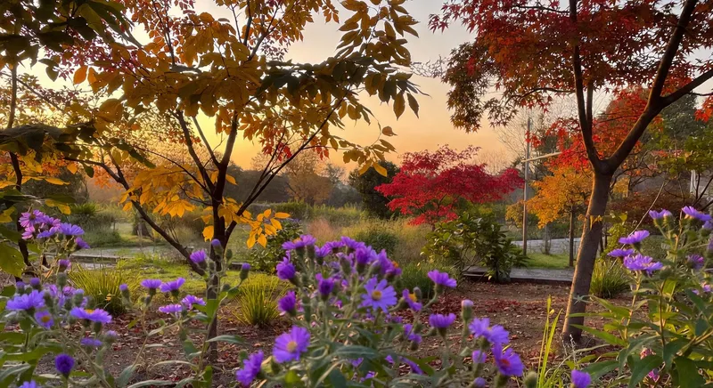秋天的花園不必蕭條：換季植栽靈感