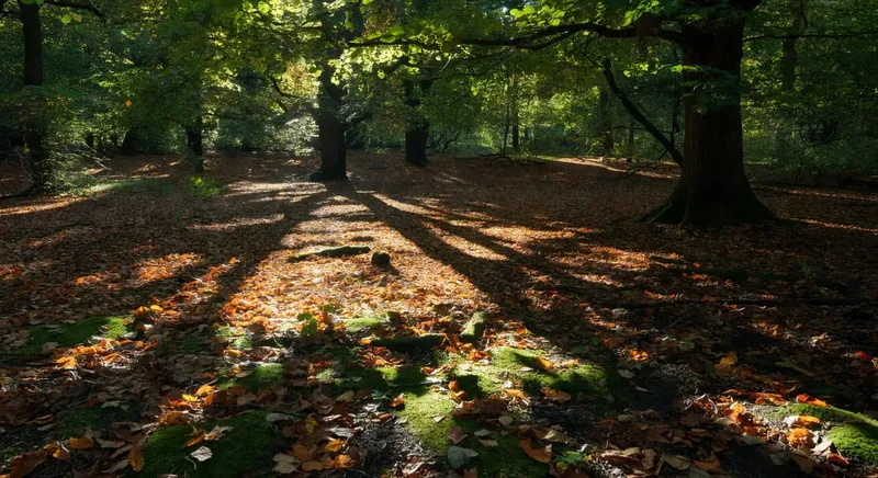 LED全光譜補光燈照射室內植物生長