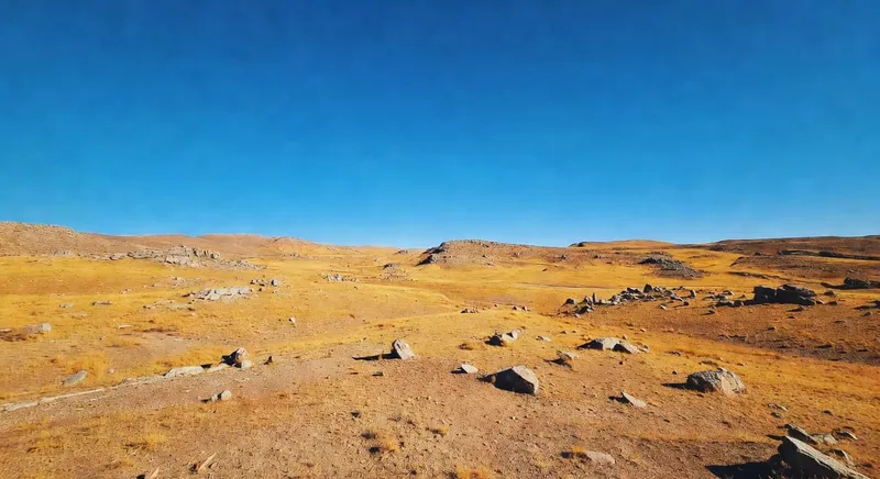 LED全光譜補光燈照射室內植物