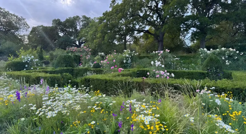 英式鄉村花園中，層層植物與野生風格達成視覺平衡的美麗