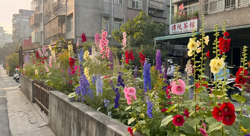 英式鄉村花園的浪漫布局：雜生之美的詩學