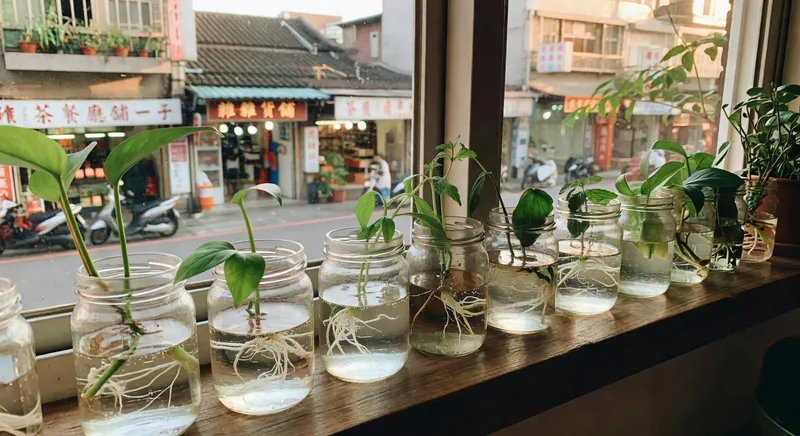 零成本擴充你的植物：扦插繁殖 SOP