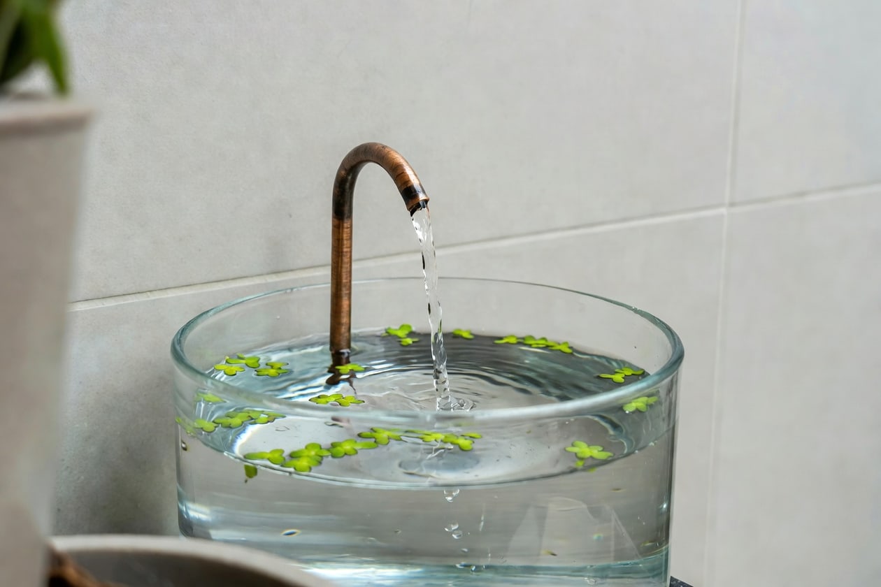 陽台小型水缸特寫：銅製出水口細流清水，水面浮萍點點，明亮光線下清澈透明，簡約現代風格。