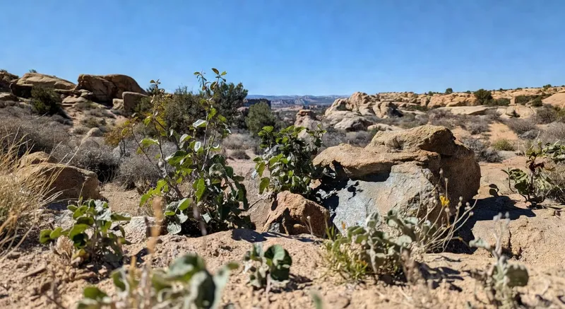 無障礙設計的公共建築入口，方便輪椅和步行者進出