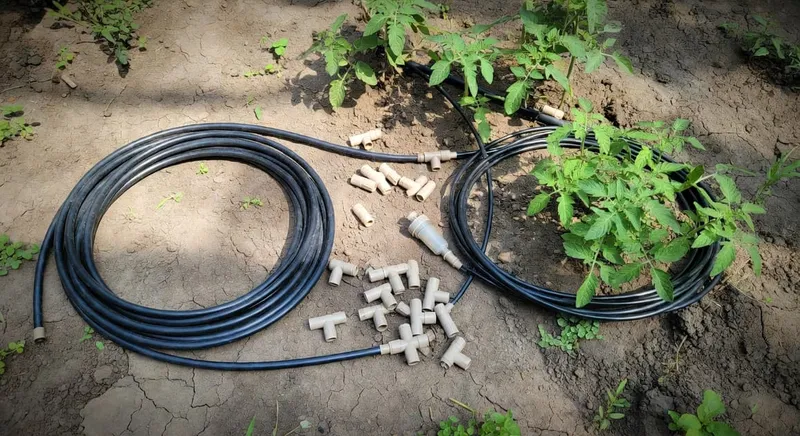 展示DIY滴灌系統安裝步驟的指導圖像