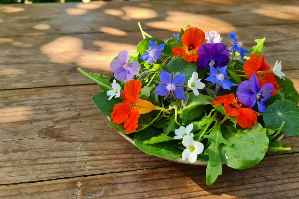食用花卉的季節花曆