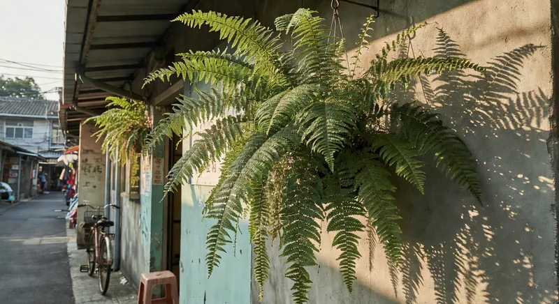 蕨類植物的綠色詩篇