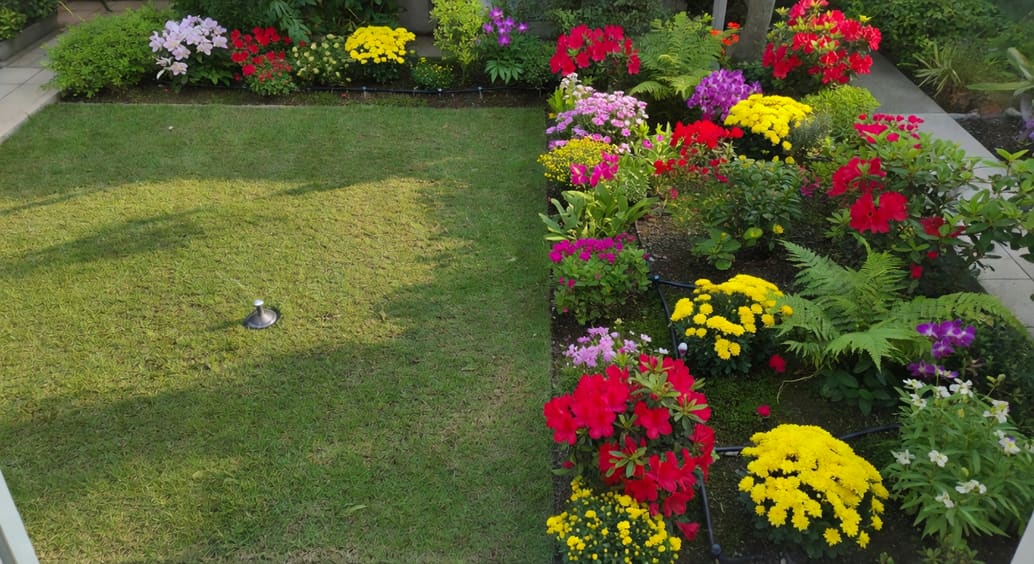 花園分區示意:左側草坪噴頭,右側花境滴管,俯瞰台灣住宅庭院