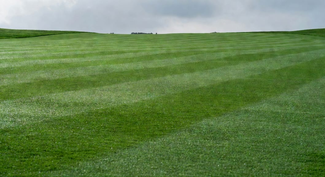 台灣高爾夫球場平整百慕達草坪,深綠紋路清晰,陽光明亮專業攝影風格。