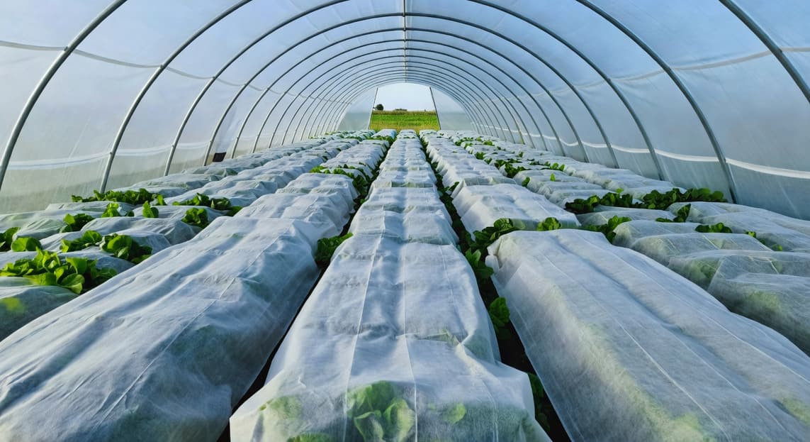 隧道棚內不織布覆蓋蔬菜植株，兩端開口通風，晴天光線充足，整齊生長俯視圖