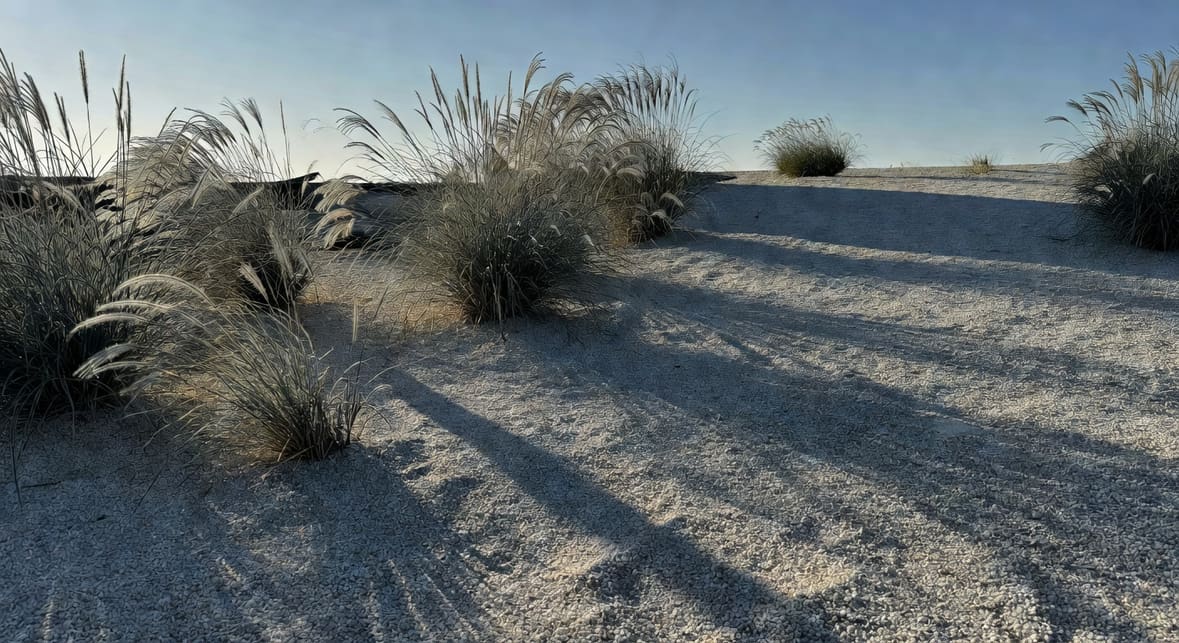 傍晚斜光照射北歐極簡花園礫石與觀賞草，草影拉長，天空淡藍色。