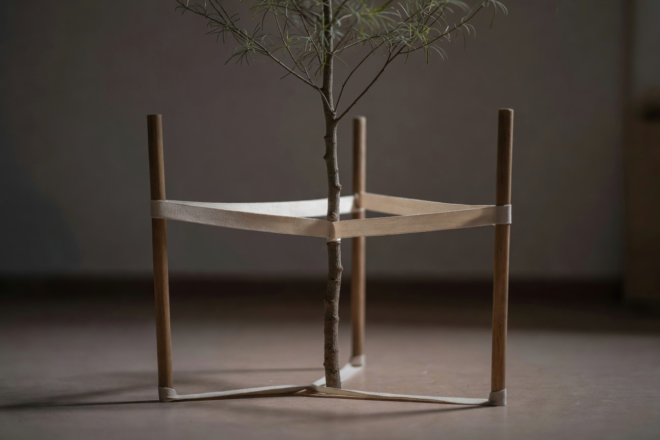 新植喬木三點支撐系統：三木樁120度等角，寬軟綁帶繫樹幹三分之一處。