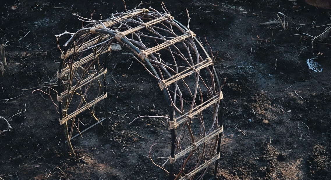 蔓性玫瑰與拱門的浪漫結構 - 圖片 2