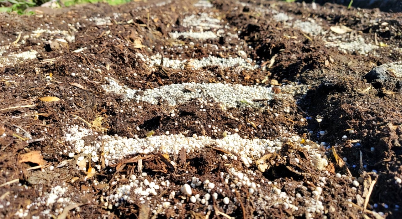 九月菜園怎麼整地？從清理到基肥施用完整 6 步驟 - 圖片 2