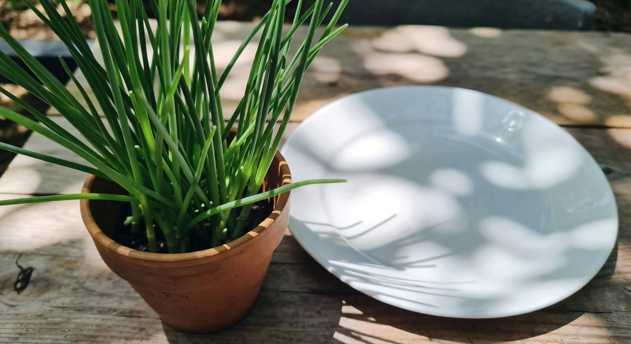 陽台韭菜青蔥怎麼採不會死？連續採收 3 個關鍵技巧 - 圖片 2