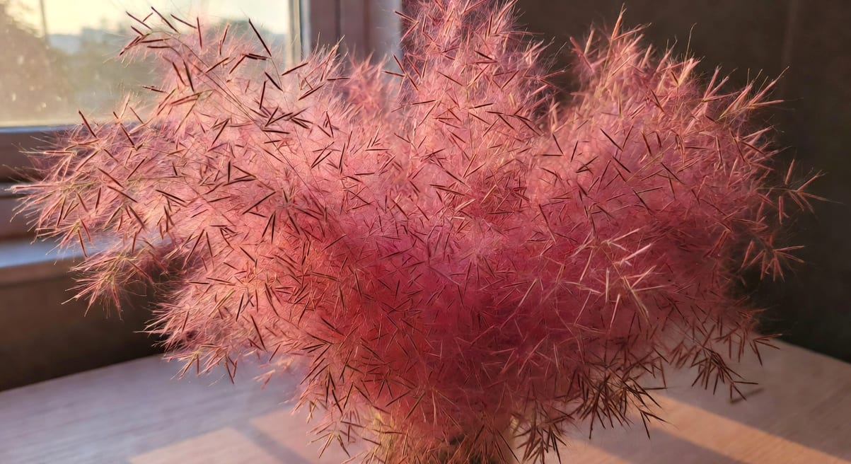 花園如何做出風動感？4 種觀賞草營造秋景的訣竅 - 圖片 2