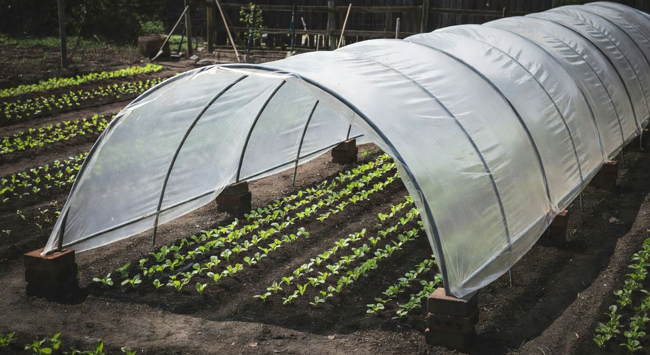 冷床保溫罩怎麼做？DIY 完整教學+使用時機 - 圖片 3