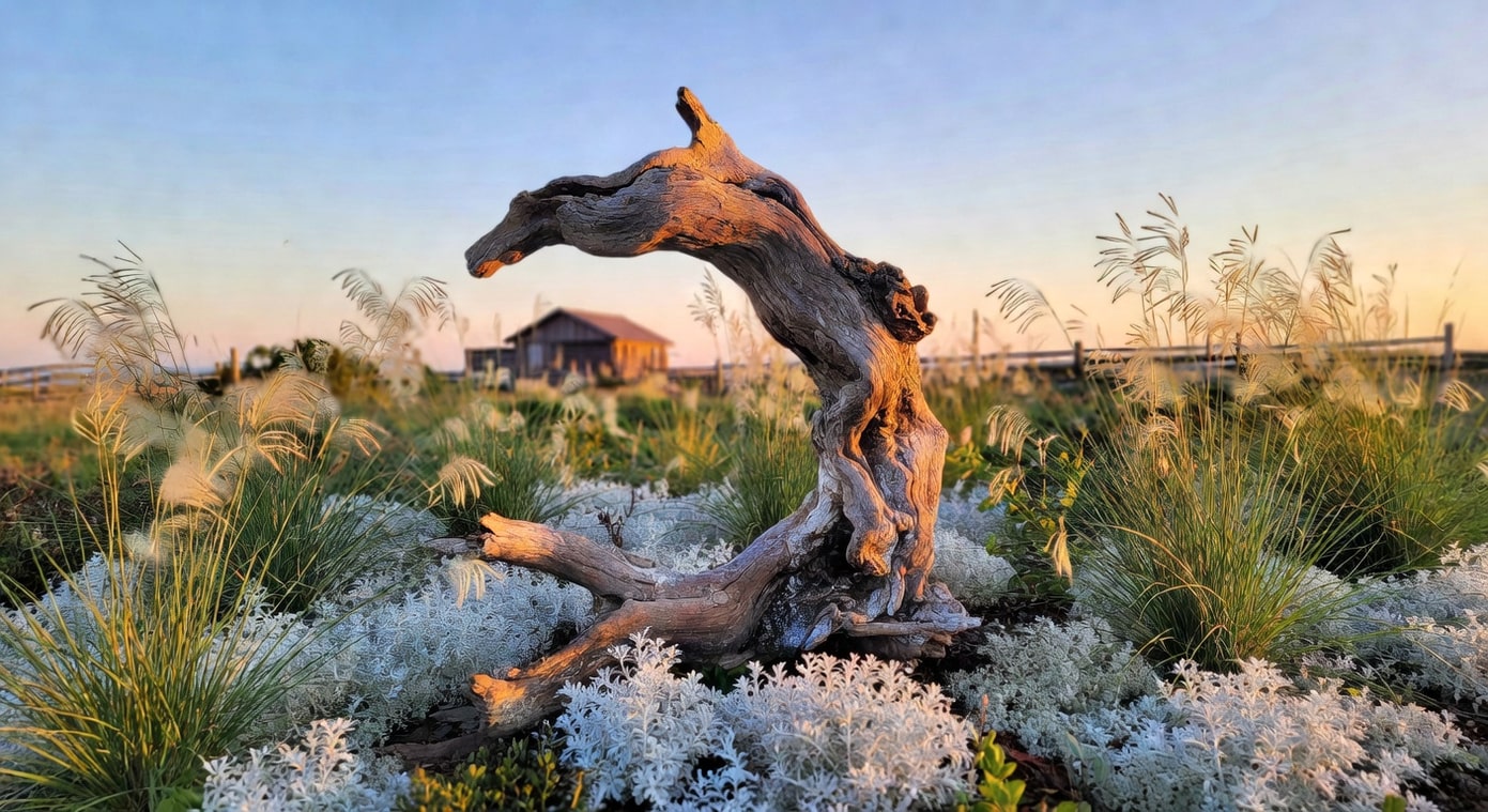 枯枝漂流木能當花園裝飾嗎？3 種雕塑化運用 - 圖片 3