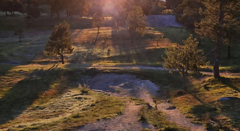 LED全光譜補光燈照射室內植物群