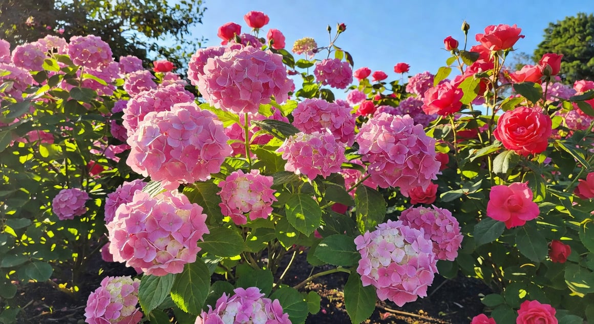 黃昏中花園步道逆光植物輪廓清晰,長影延伸石板路
