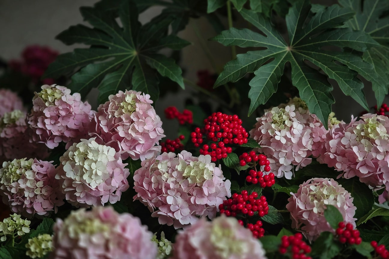 秋天花園怎麼做金黃色系？6 種灌木的層次搭配 - 圖片 2