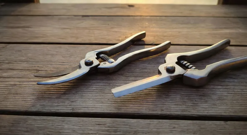 手剪與粗枝剪選購保養