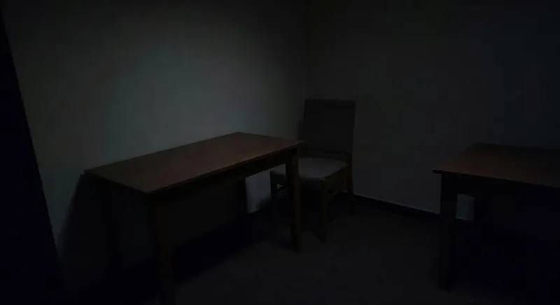 陽光下花園多樣植物的自然生長景觀