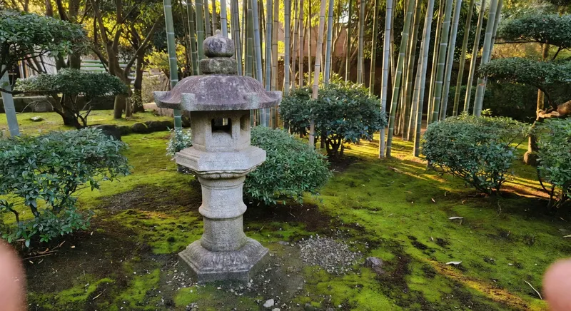 日式庭園的靜謐美學：入門設計指南