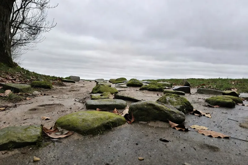 LED全光譜補光燈照射室內植物