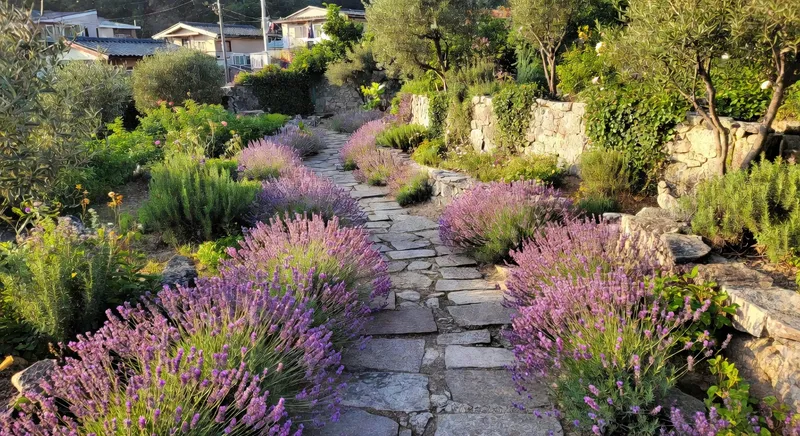 地中海風格花園：乾燥氣候的浪漫植栽