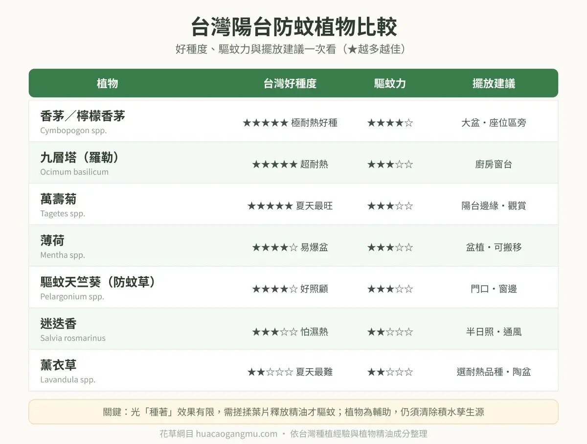 台灣七種陽台防蚊植物比較表:好種度、驅蚊力與擺放建議