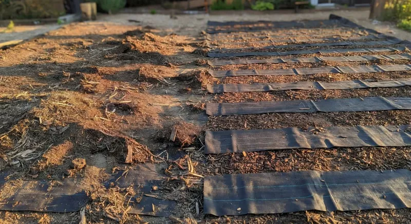 正確與錯誤覆蓋物鋪設方式的對比示意圖