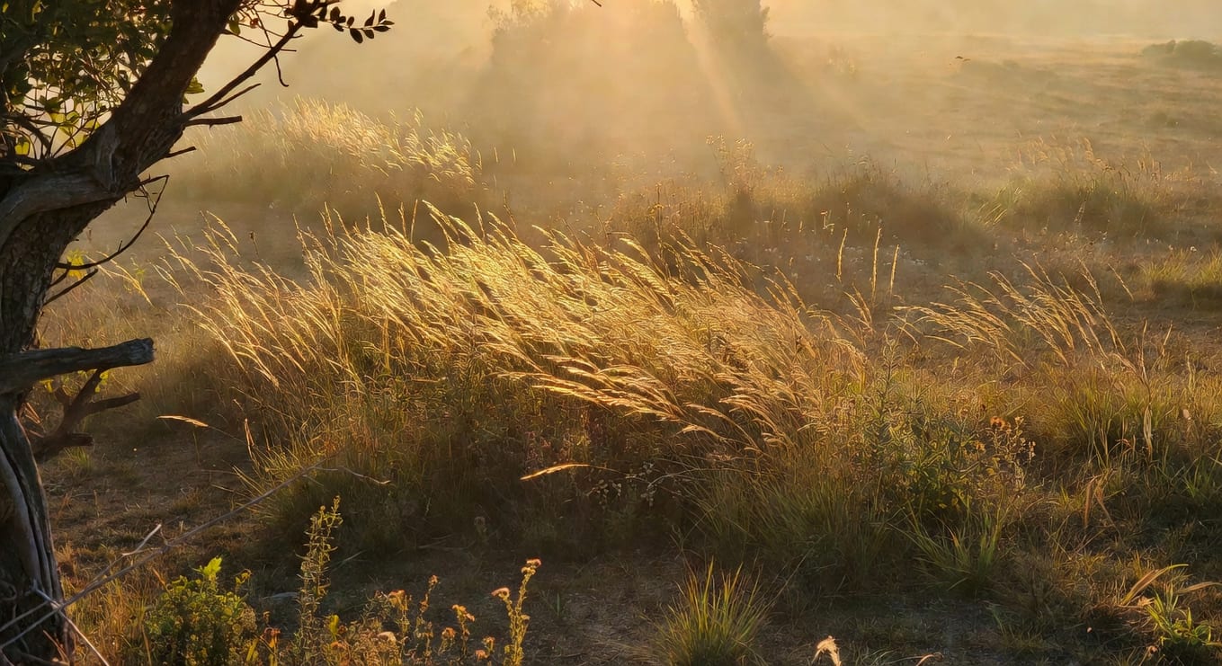 家庭廚餘堆肥的製作步驟與原理