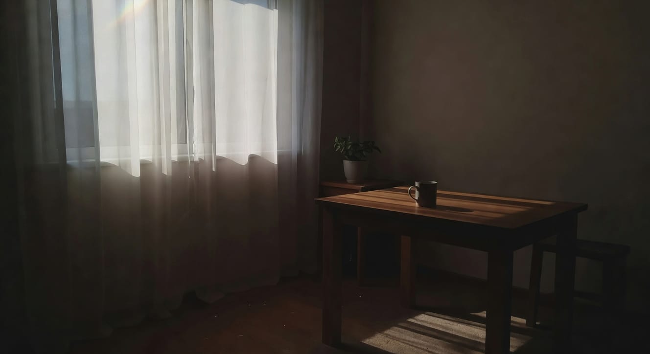 室內植物使用自動澆水系統的詳細特寫