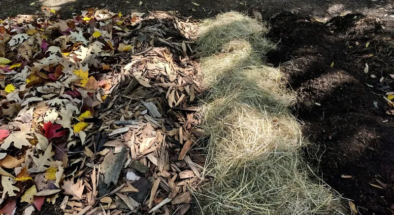 各種有機護根物材料對比:樹葉、木屑、草料、堆肥的外觀和分解狀態