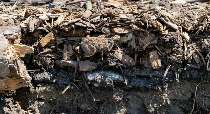 有機護根物分層降解截面圖,展示不同深度分解程度與微生物活動