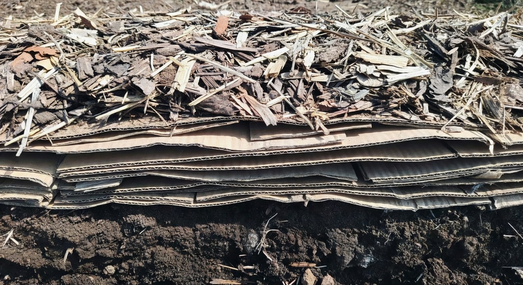 Sheet mulching 分層示意圖：紙板層、有機覆蓋物層與土壤垂直關係，尺度標註明確