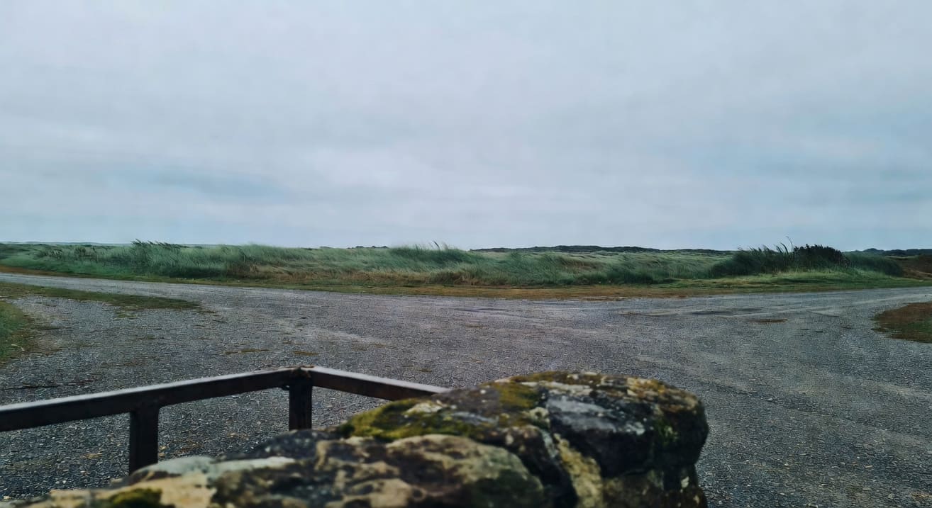 三種有機防治方案製備與施用工具示意圖