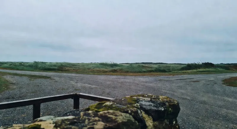 觸覺地磚引導視障人士安全行走