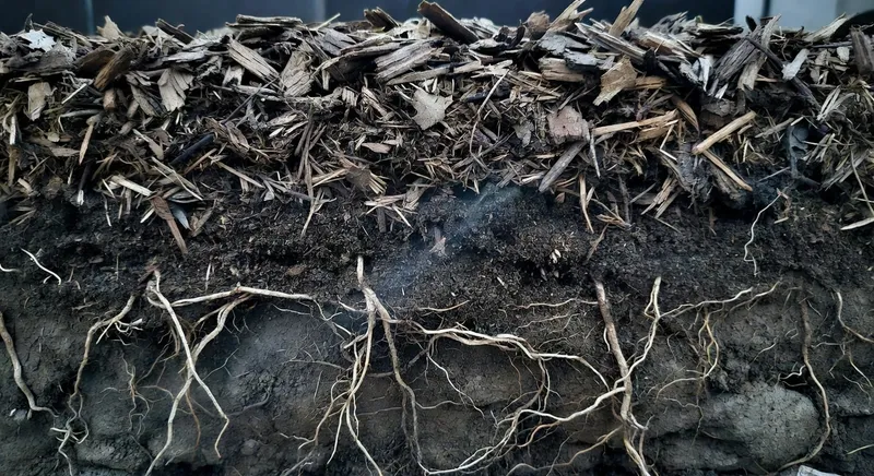 護根覆蓋層截面圖：展示不同材料層次和根系環境