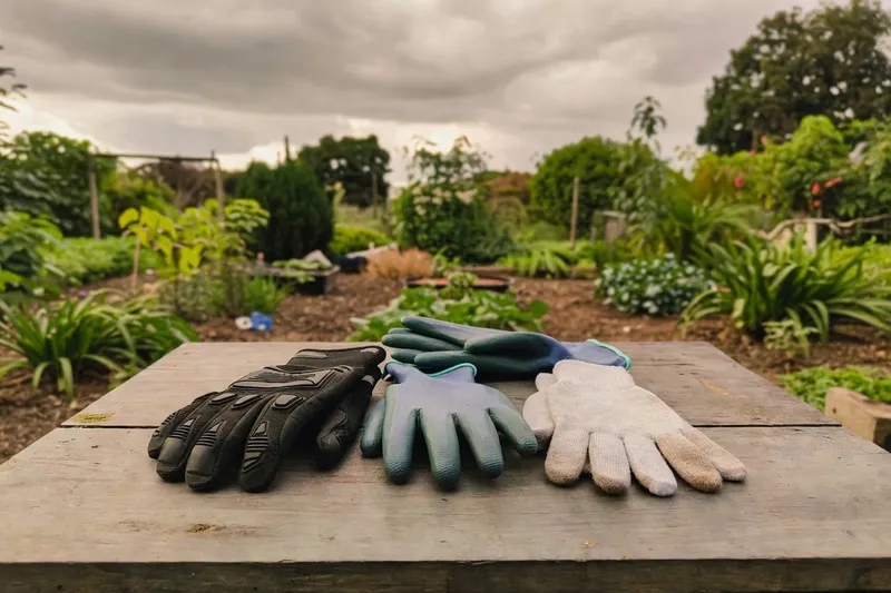 園藝防護裝備的科學配置