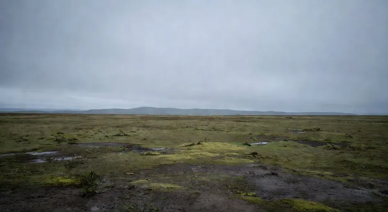 LED全光譜燈照射室內植物的生長環境
