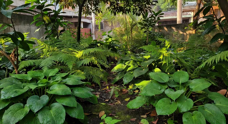 陰影下的花園：低光環境的綠意美學